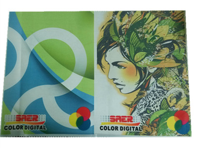 Werbung des Färbung Mimaki-Textildruckers mit Schreibkopf Epson DX5 1