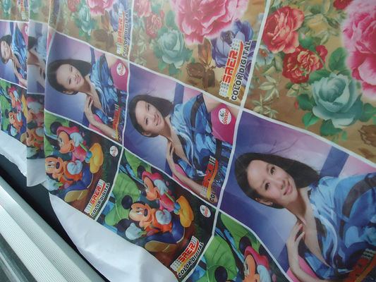 Polyester-Windows-Vorhang 100%/Flaggen-Gewebe 110-250 G/G/M