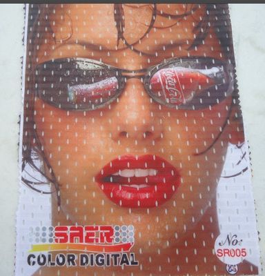 Großes Format-Druckmaschinen-Singapur-Flaggen-Drucker-Maschine Saer Bauzustands-Übersichtsbericht 3200