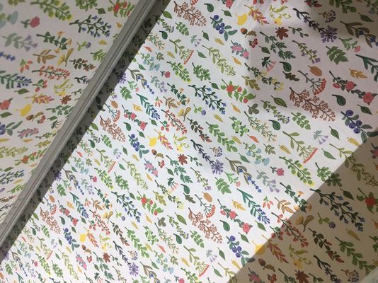 110V / automatisches Drucksystem des Gewebe-220V/Tintenstrahl-Gewebe-Druckmaschine