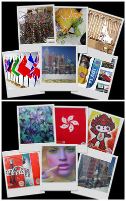 Verweisen Sie Digital-Druckgewebe-Sublimations-Polyester-Verzerrungs-strickendes Gewebe 100%