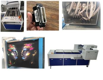 Digital-Flachbettt-shirt Druckmaschine mit 8 Gewicht Ricoh GH2220 Kopf-260kg