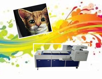 Digital-T-Shirt Druckmaschine verweisen auf Kleiderdrucker mit 8 RICOH-Schreibköpfen