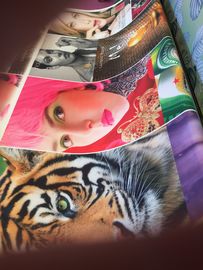 Polyester-Digital-Druckgewebe Tatting-Webart-Sublimations-Beschichtung 100%